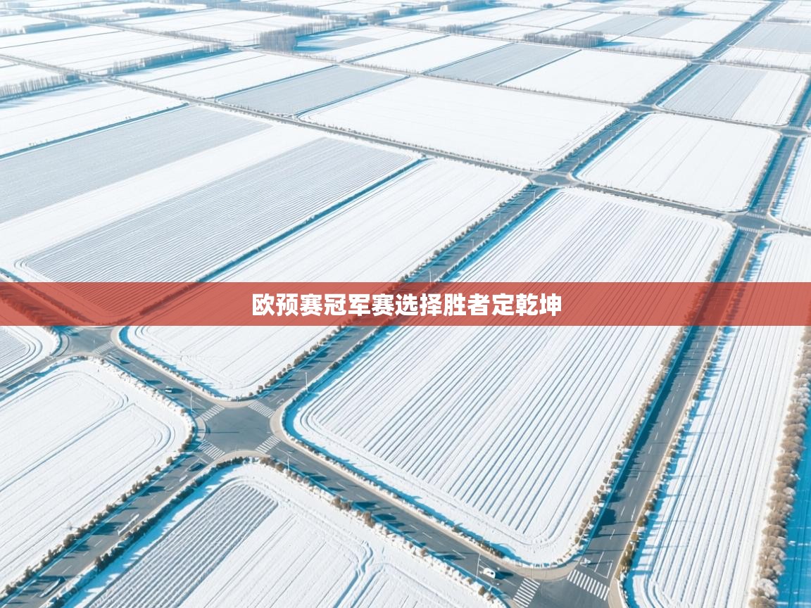 欧预赛冠军赛选择胜者定乾坤  第1张
